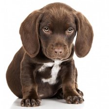 Оригинал схемы вышивки «№2492484»