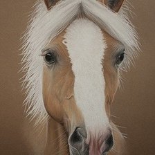 Схема вышивки «№2492550»