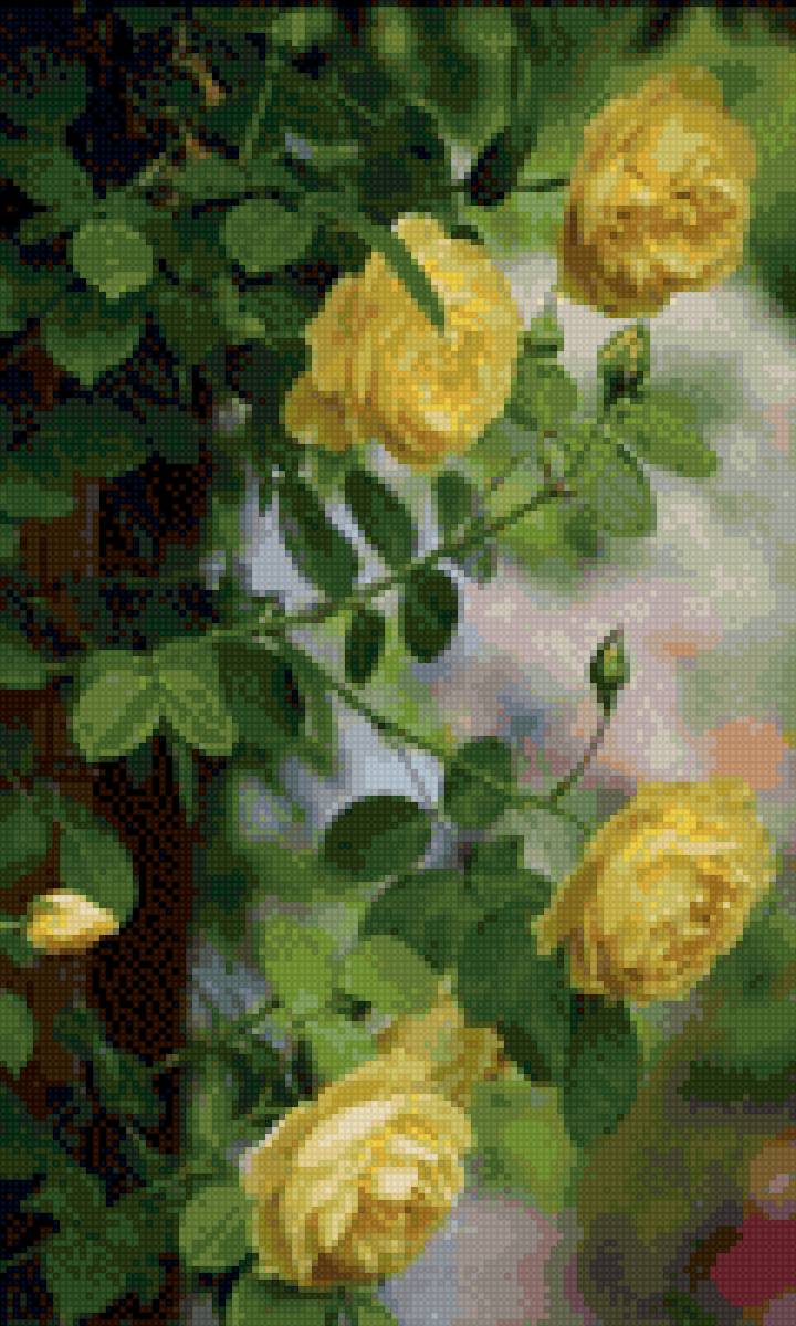 Розы - предпросмотр