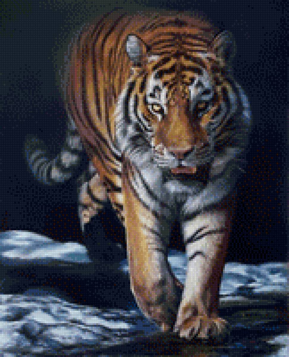 Тигр - тигр - предпросмотр