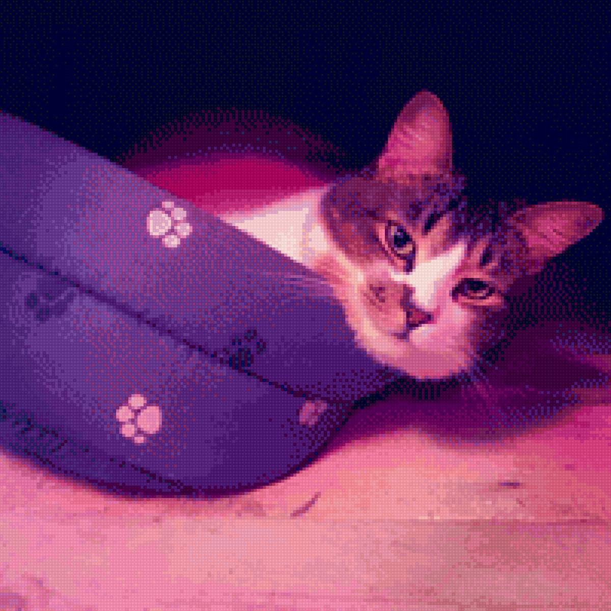 Кузяша - кот мой - предпросмотр