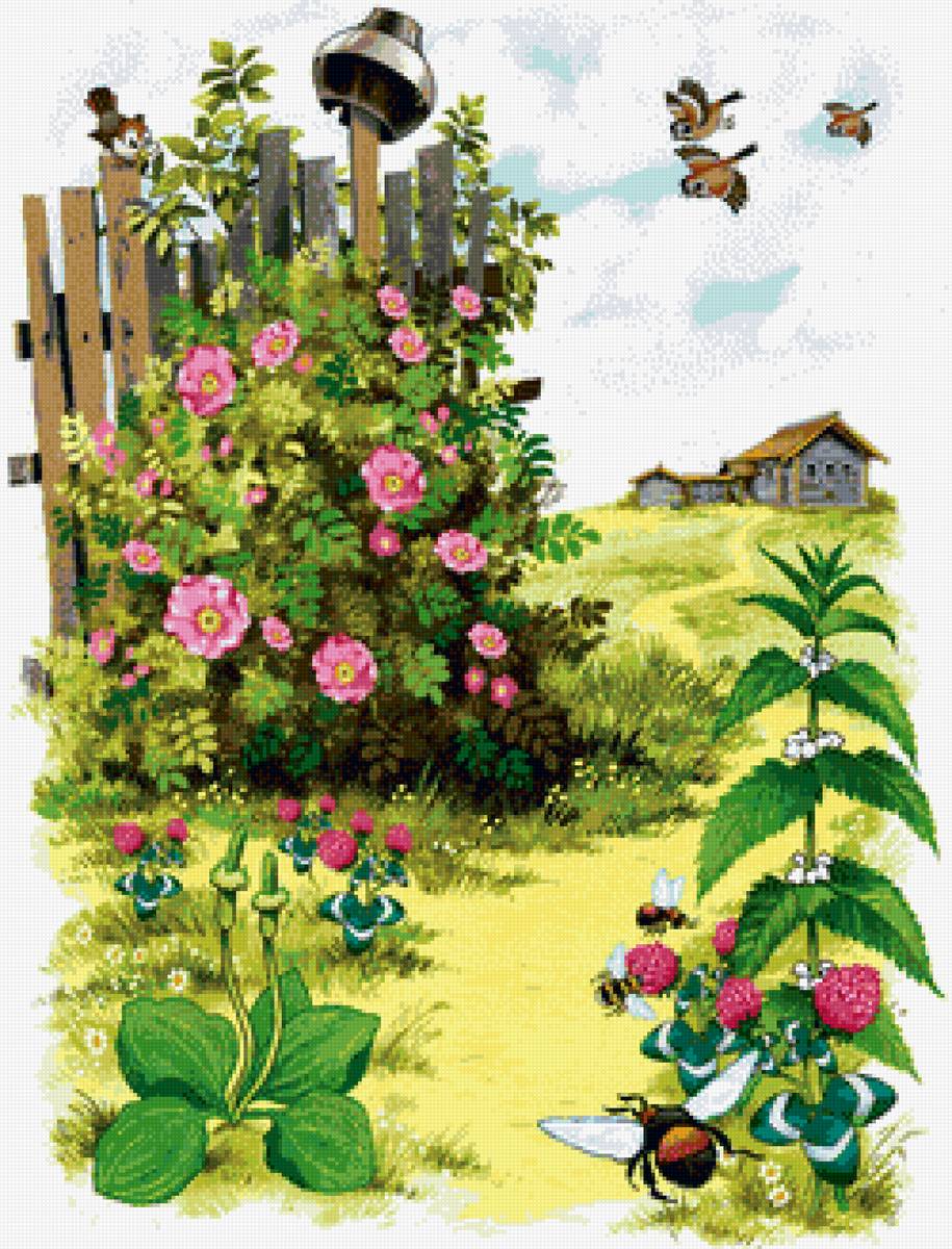 №2492989 - предпросмотр