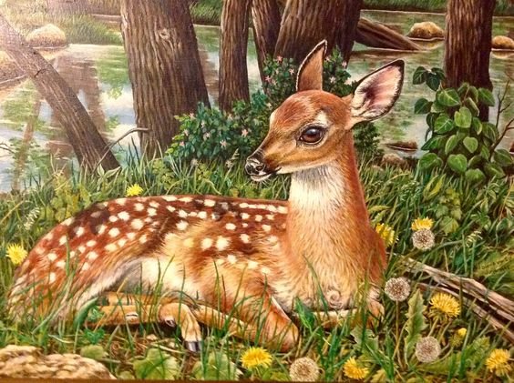 Летний зной - лето, косуля - оригинал