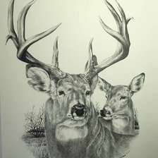 Схема вышивки «№2493534»