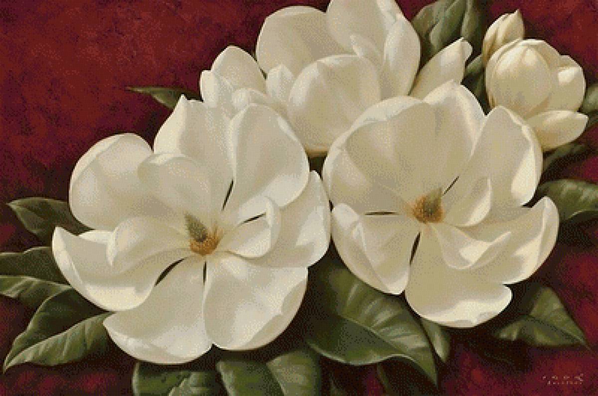 magnolia - предпросмотр