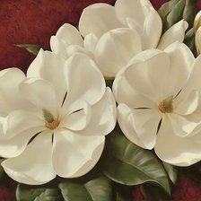 Схема вышивки «magnolia»
