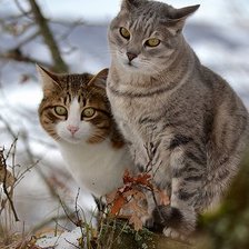 Схема вышивки «№2493847»