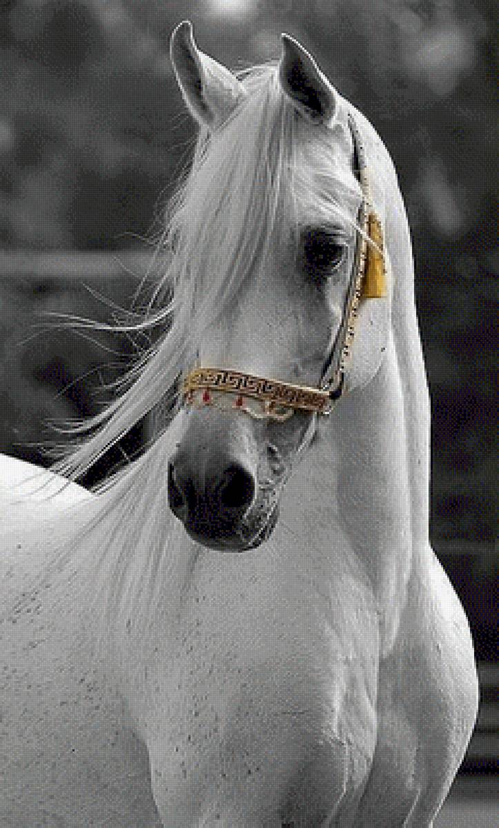 №2493858 - предпросмотр