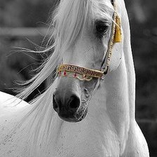 Схема вышивки «№2493858»