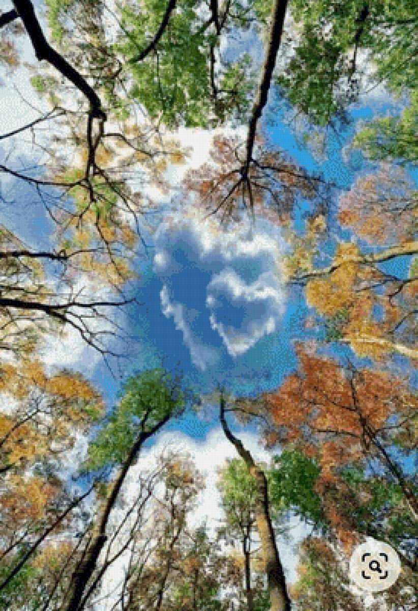 Небо - деревья, небо - предпросмотр