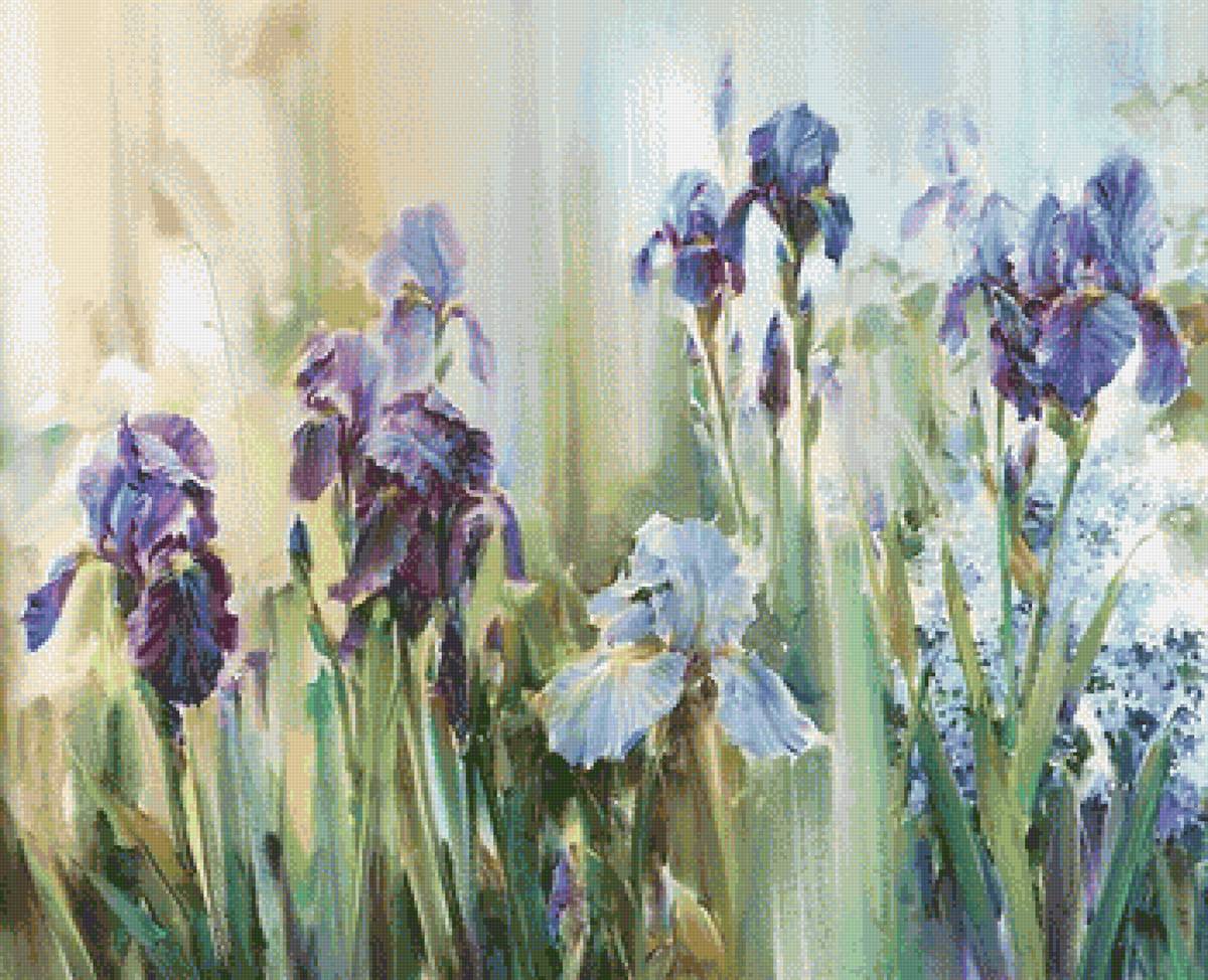 ирисы - цветы, ирисы - предпросмотр