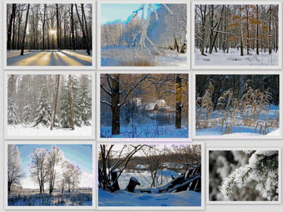 Зима - зима, лес - предпросмотр