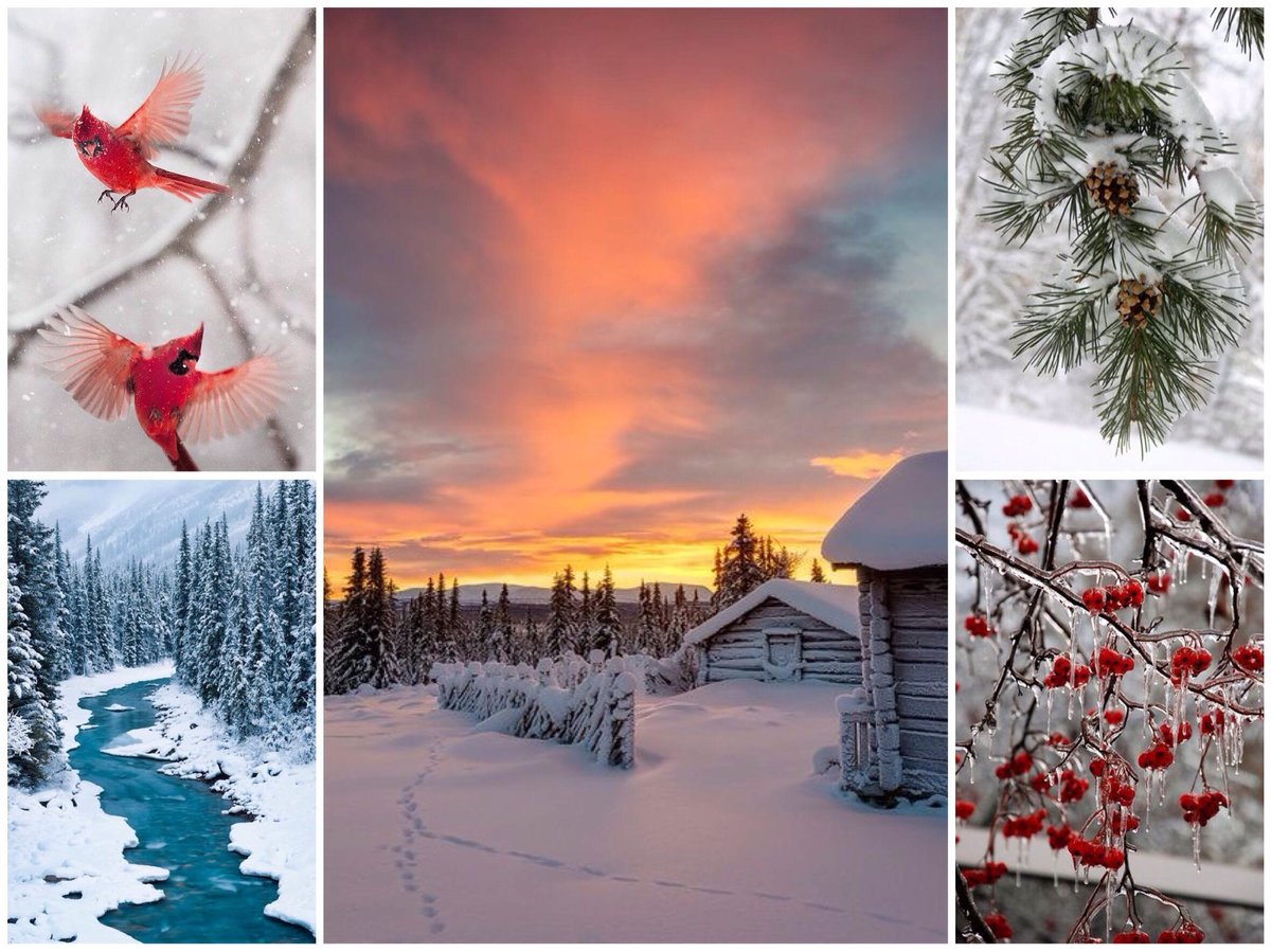 Зима - природа, зима, снег - оригинал