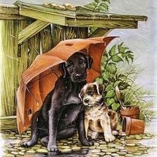 Схема вышивки «Под дождем»