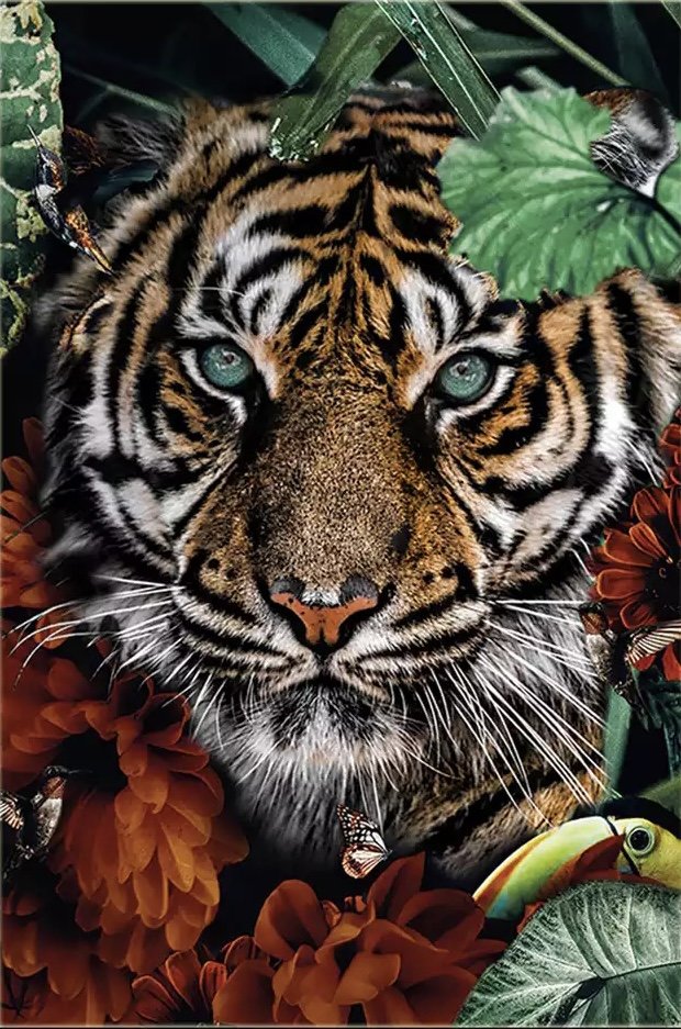 Тигр в природе - природа, тигр - оригинал