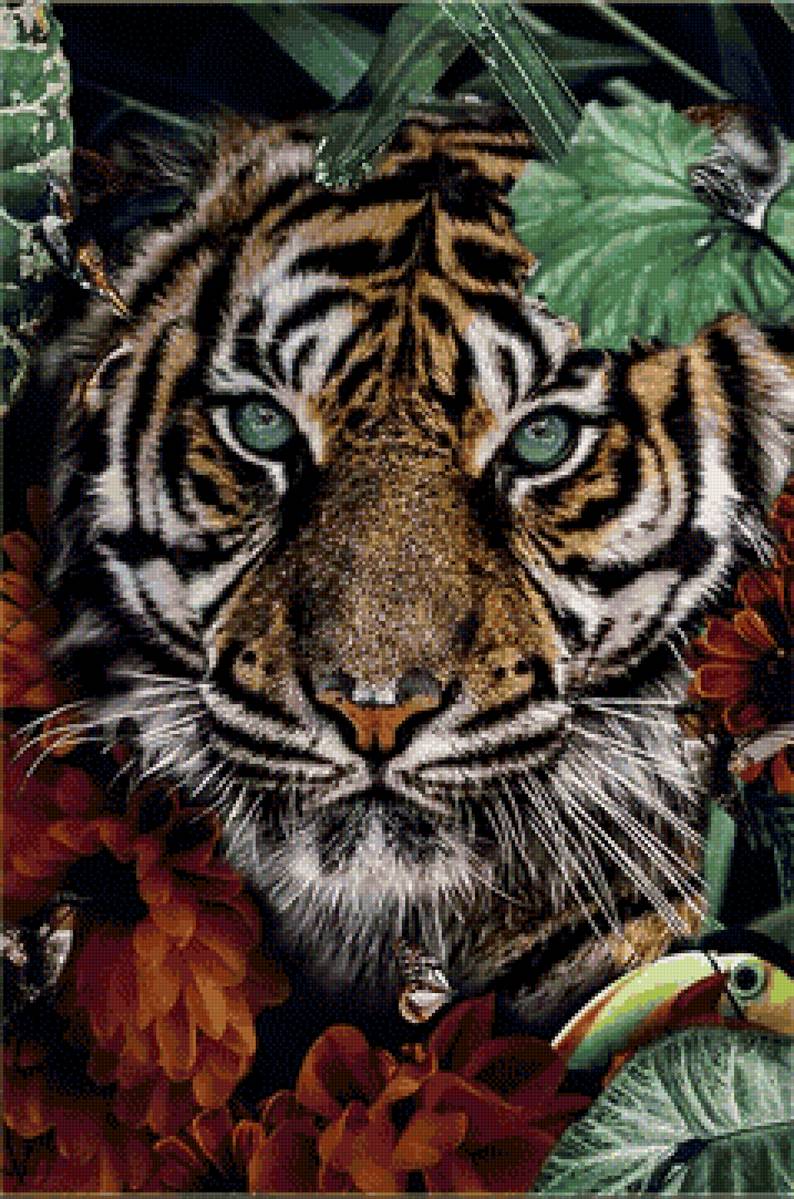 Тигр в природе - природа, тигр - предпросмотр