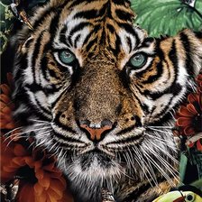 Оригинал схемы вышивки «Тигр в природе» (№2494394)