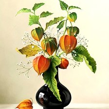 Схема вышивки «физалис !»