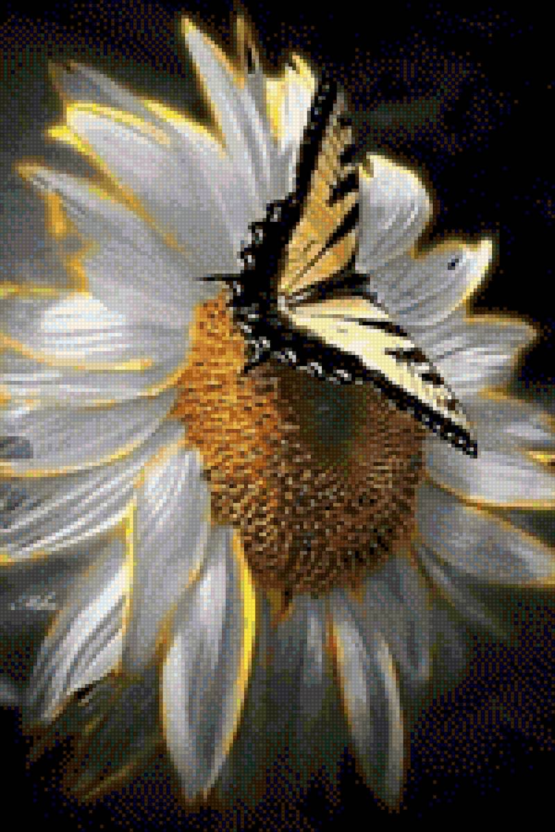 №2495131 - предпросмотр