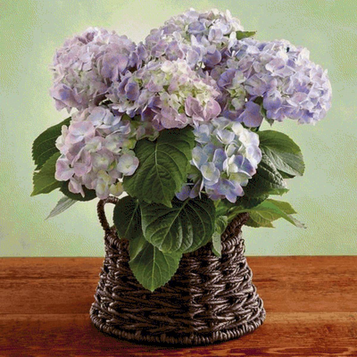 №2495226 - предпросмотр