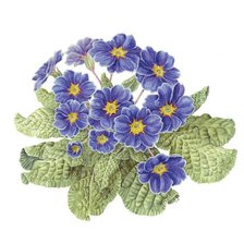 Схема вышивки «№2495259»