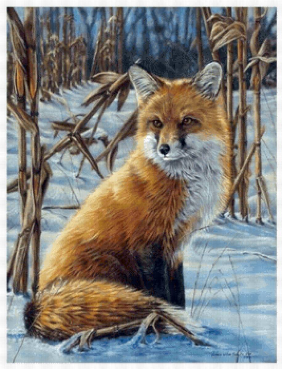 Лиса - лиса, зима - предпросмотр