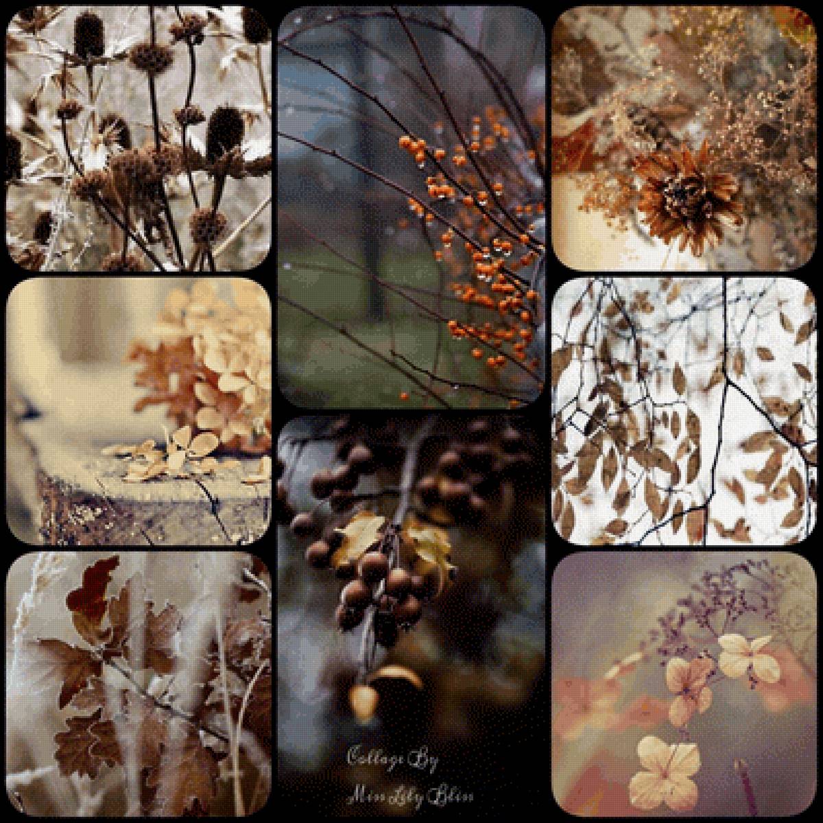 Поздняя осень - осень, ботаника - предпросмотр