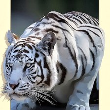 Схема вышивки «№2495498»