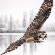 Схема вышивки «№2495727»