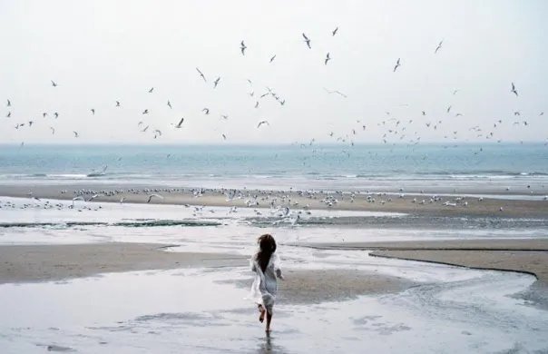 К морю - чайки, море, мечта, девушка - оригинал