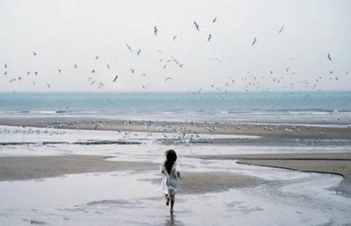 К морю - чайки, девушка, море, мечта - предпросмотр