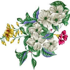 Схема вышивки «№2496169»