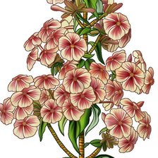 Схема вышивки «№2496175»