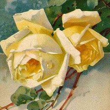 Схема вышивки «Yellow roses»