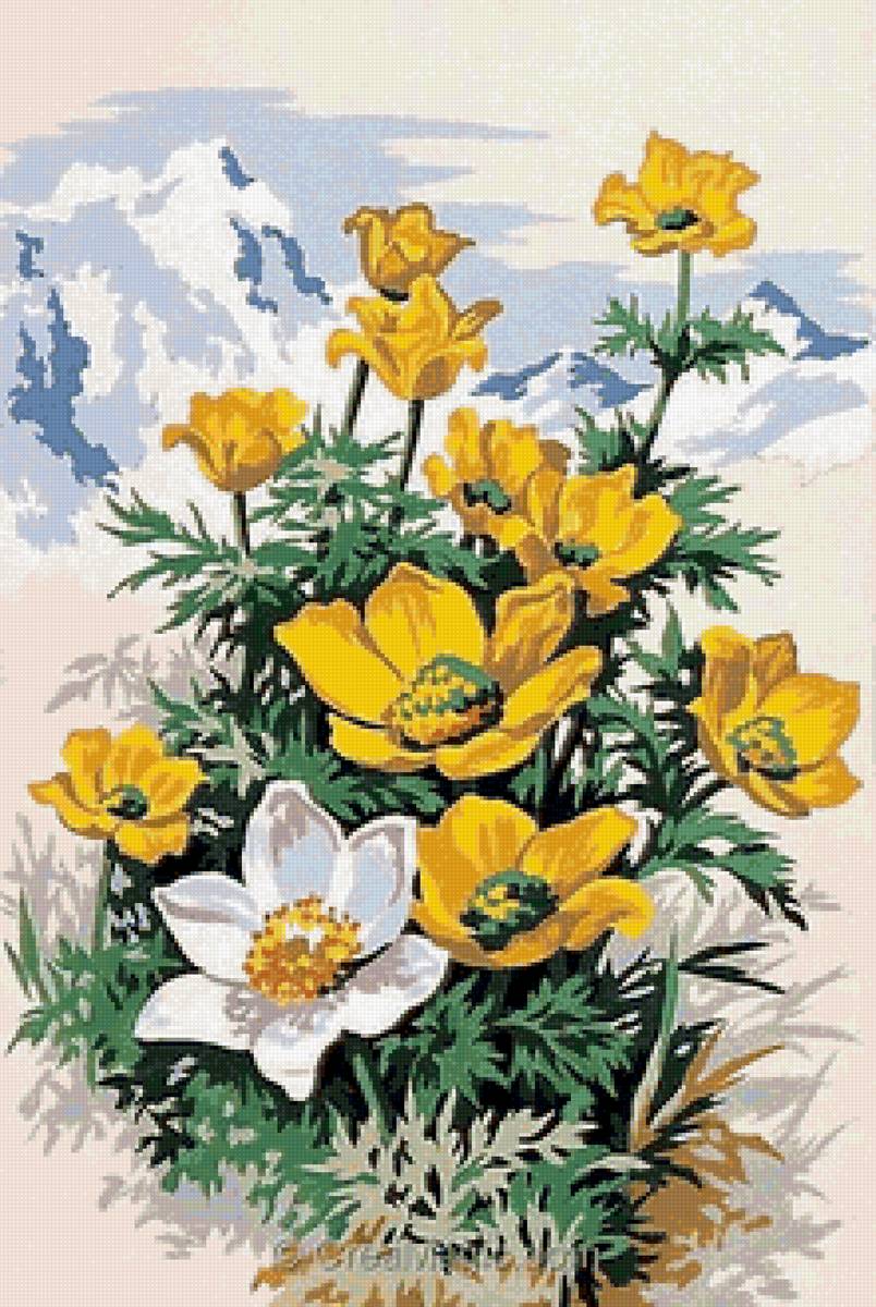 цветы - рисунок - предпросмотр