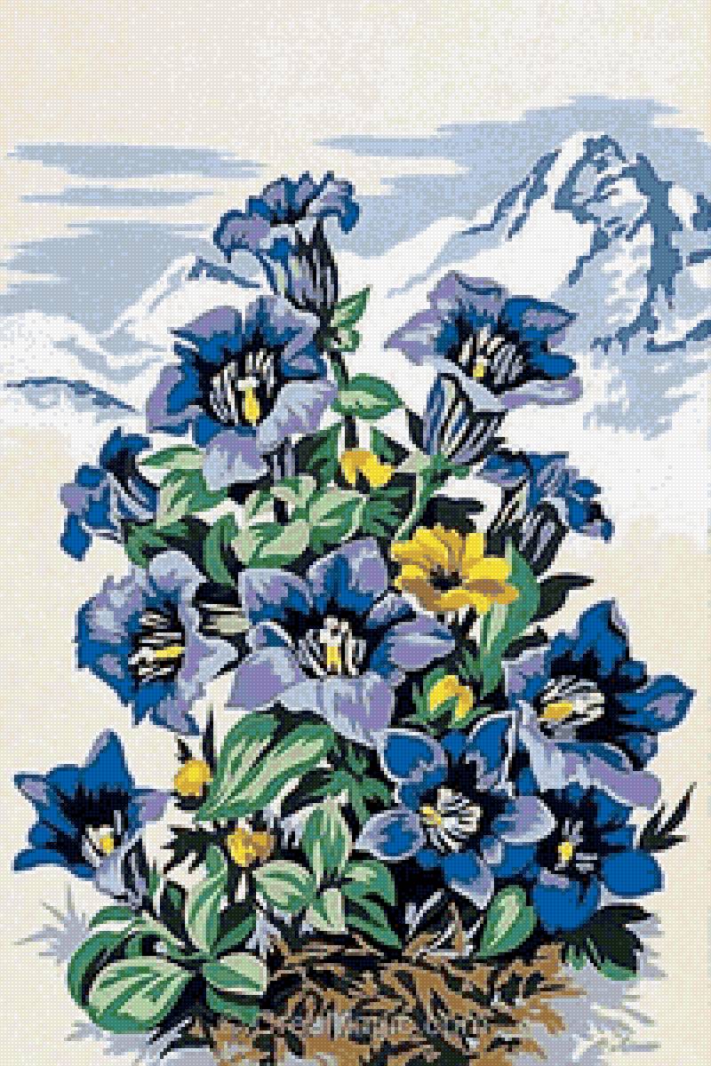 цветы - рисунок - предпросмотр