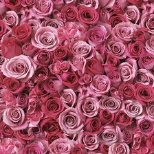 Оригинал схемы вышивки «Розовые розы» (№2496440)