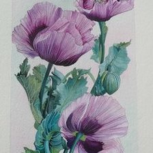 Схема вышивки «№2496653»