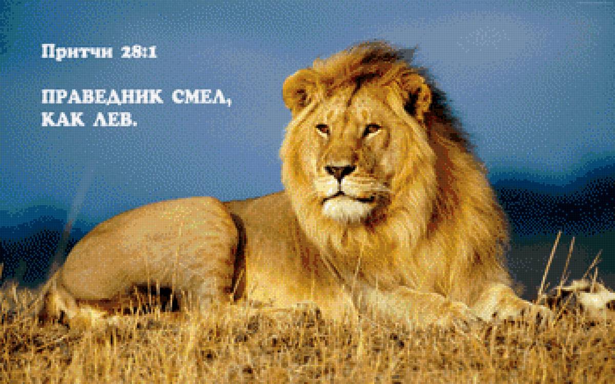 Лев Притчи 28 - предпросмотр