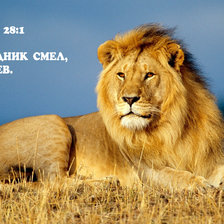 Схема вышивки «Лев Притчи 28»