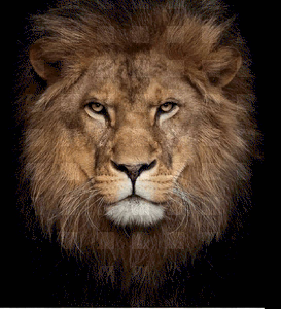 Лев - предпросмотр