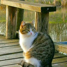 Схема вышивки «№2496989»