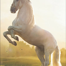 Оригинал схемы вышивки «Белая лошадь» (№2497122)