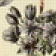 Предпросмотр схемы вышивки «Ботаника» (№2497248)