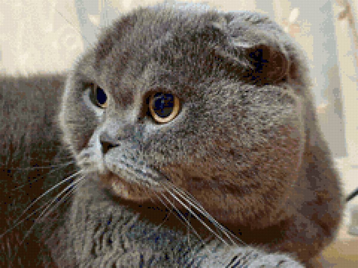 Ксюша 1 - предпросмотр