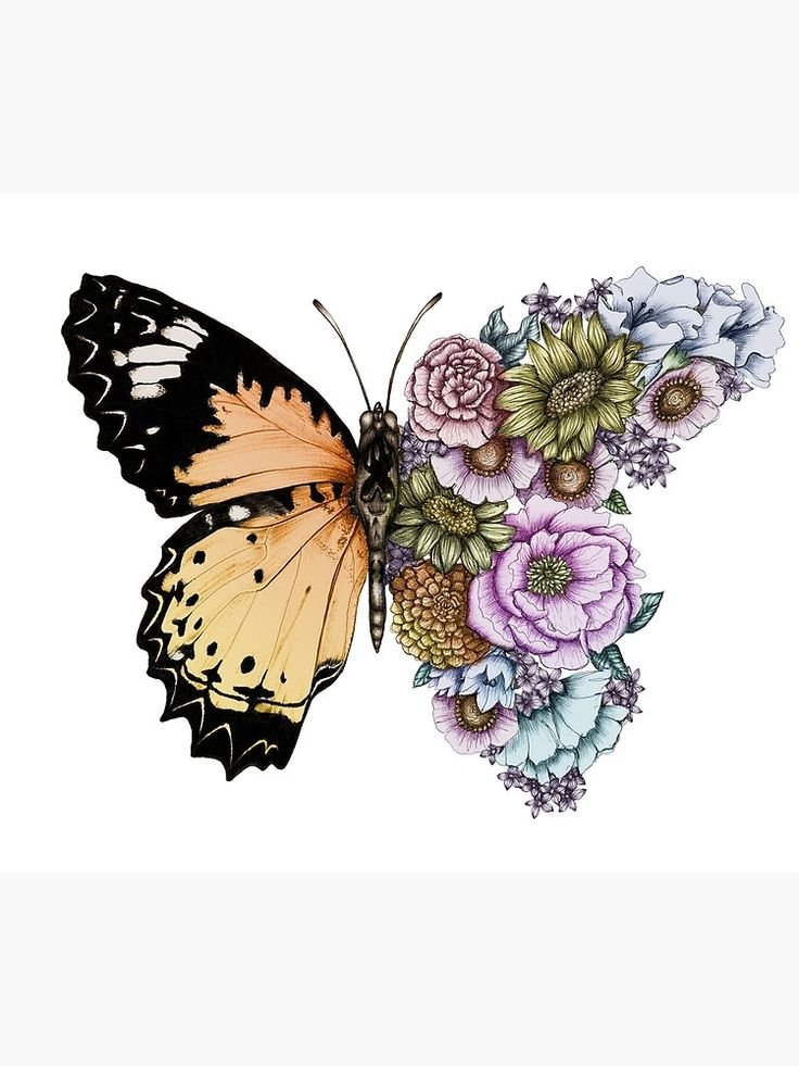 №2497482 - бабочка - оригинал