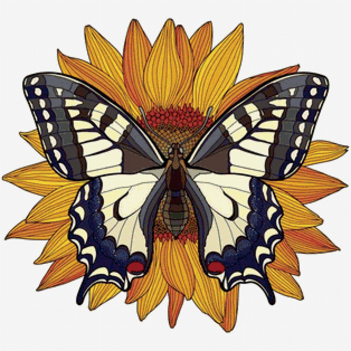 №2497488 - бабочка - предпросмотр