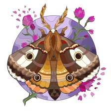 Схема вышивки «№2497490»