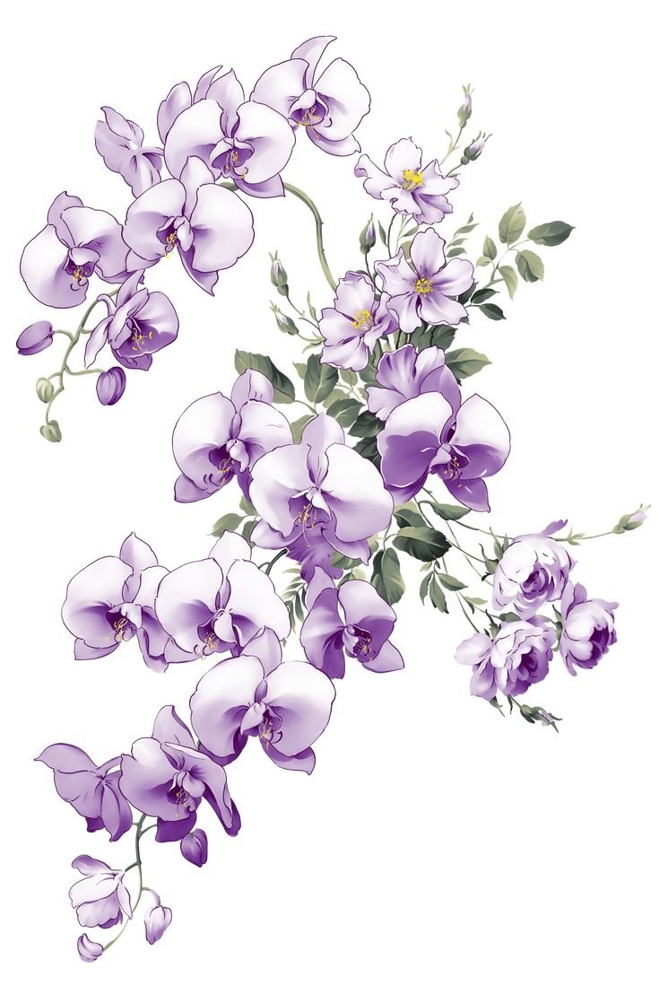 №2497508 - оригинал