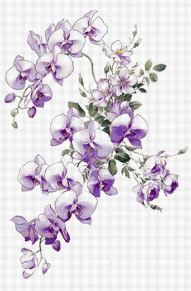 №2497508 - предпросмотр